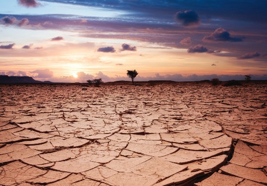 dry